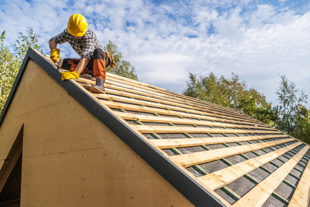 Best Roof Gutter Cleaning  in Springfield, VA