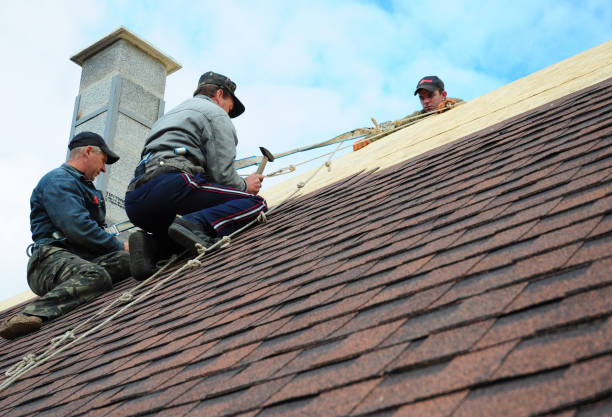 Reliable Springfield, VA Roofing Contractor Solutions
